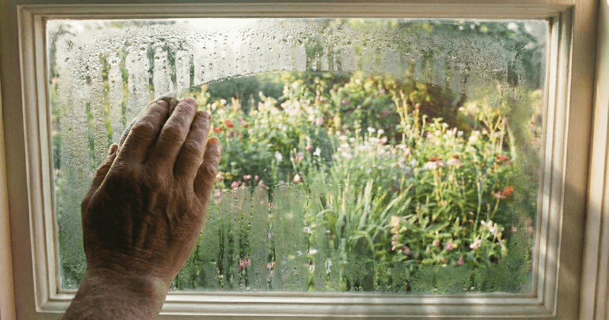 Ventilation eller nya fönster? Så blir du av med imma på fönstren permanent